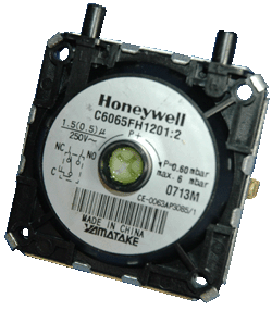 bx pt kingfisher e02376 aps.gif